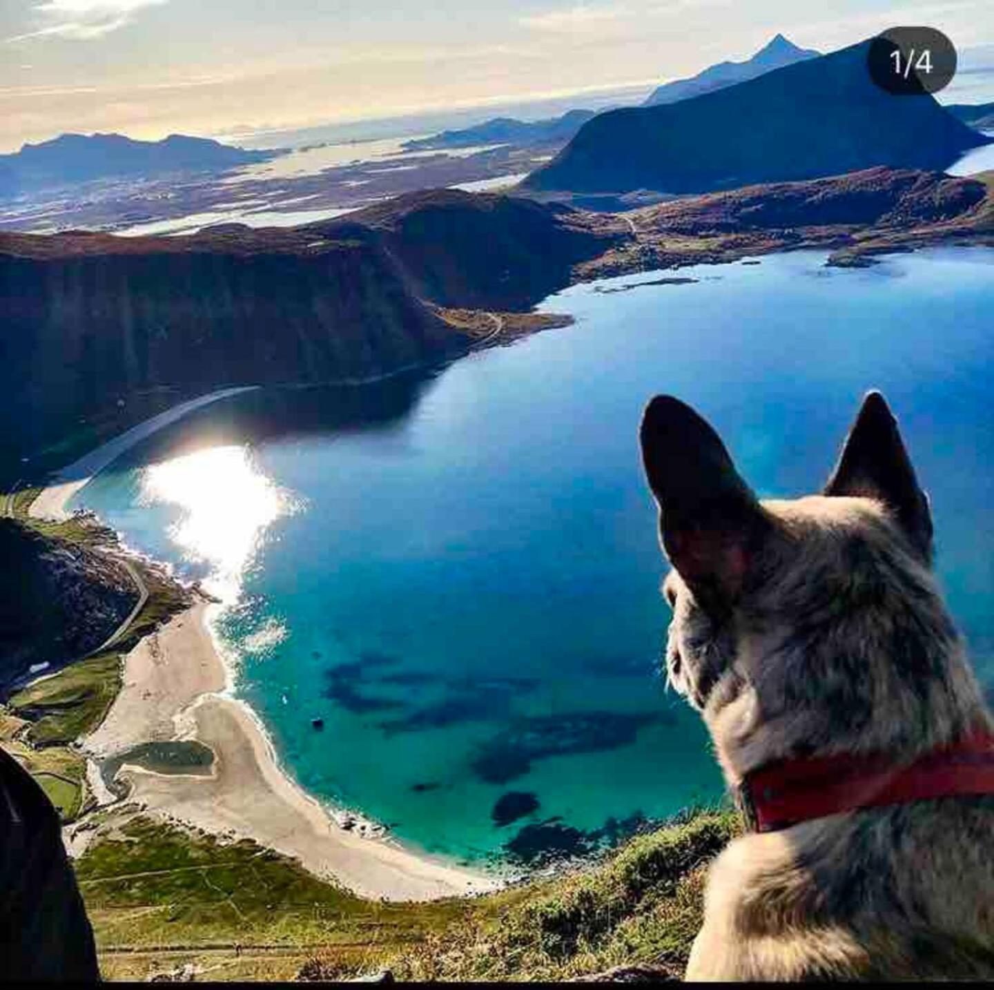Lofoten Seaview Ballstad Kültér fotó